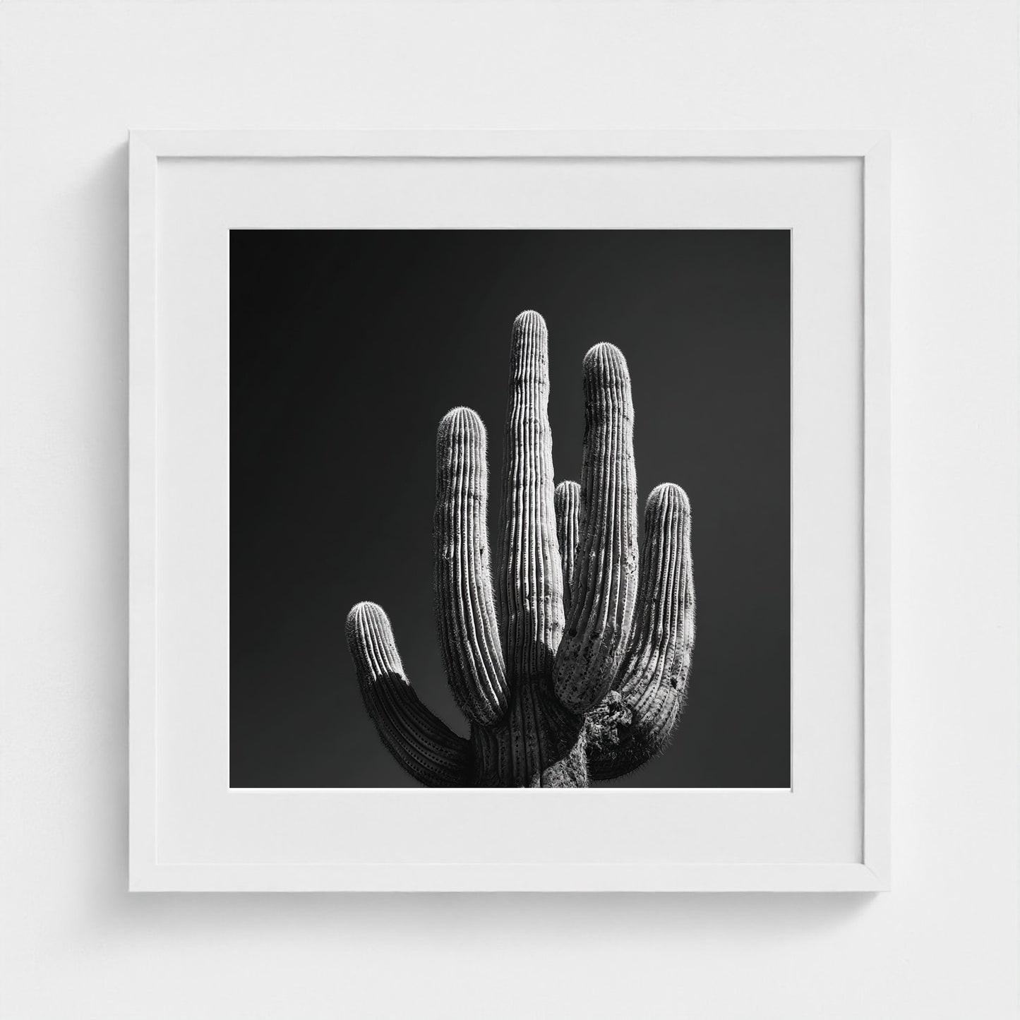timeless-black-and-white-fine-art-desert-cactus 20x20-white frame frame