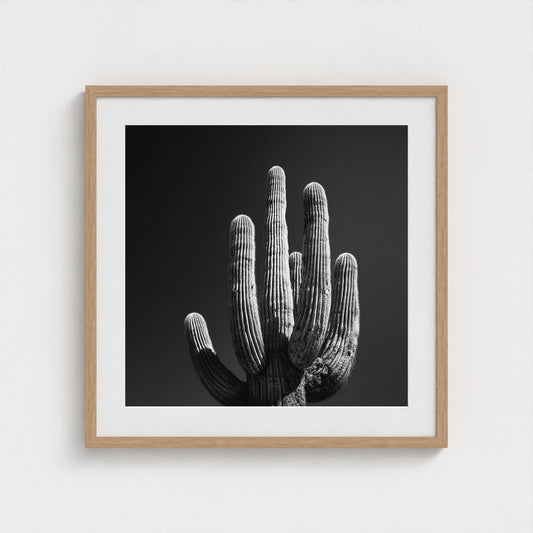 timeless-black-and-white-fine-art-desert-cactus 24x24-natural frame frame