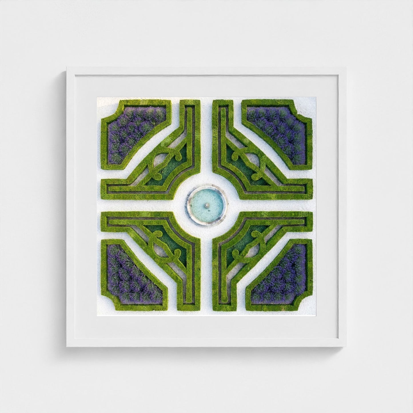 topiary-garden 24x24-white frame frame