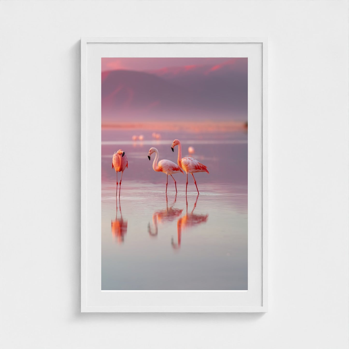 flamingos-in-shallow-pastel-water-soft-reflectio 24x36-white frame frame