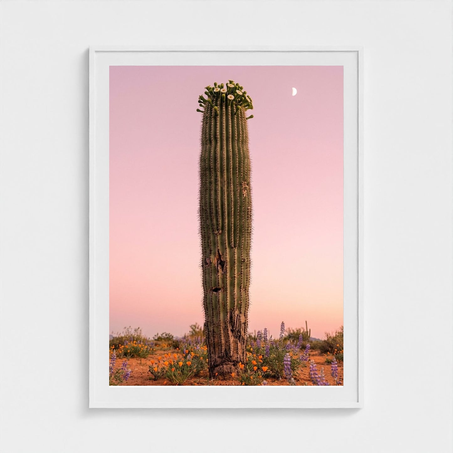 cactus-pink 36x48-white frame frame