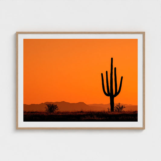 towering-saguaro-cactus-at-sunset-glowing-orange 48x36-natural frame frame