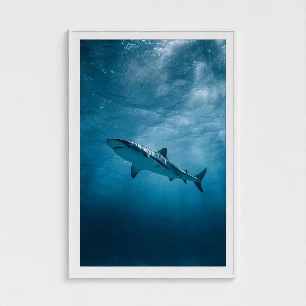 Apex Blue — Shark Wall Art Print, Underwater Ocean Photography, Minimal Coastal Nautical Decor