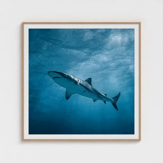 Apex Blue — Shark Wall Art Print, Underwater Ocean Photography, Minimal Coastal Nautical Decor
