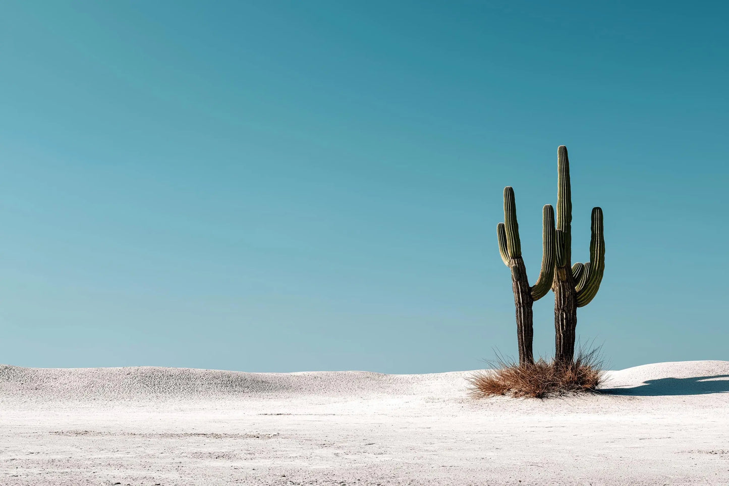 Salt & Saguaro — Desert Cactus Wall Art Print, Minimal Southwestern Photography, Turquoise Sky Modern Decor