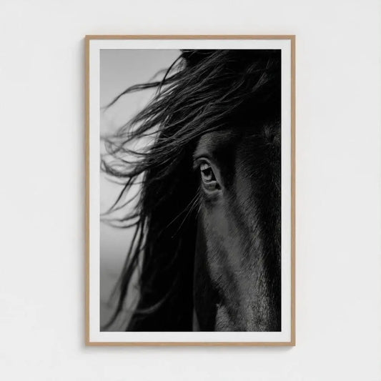 Black and White Horse Photography Print, Minimalist Equine Wall Art, Rustic Ranch Home Decor, Fine Art Animal Portrait Artwork