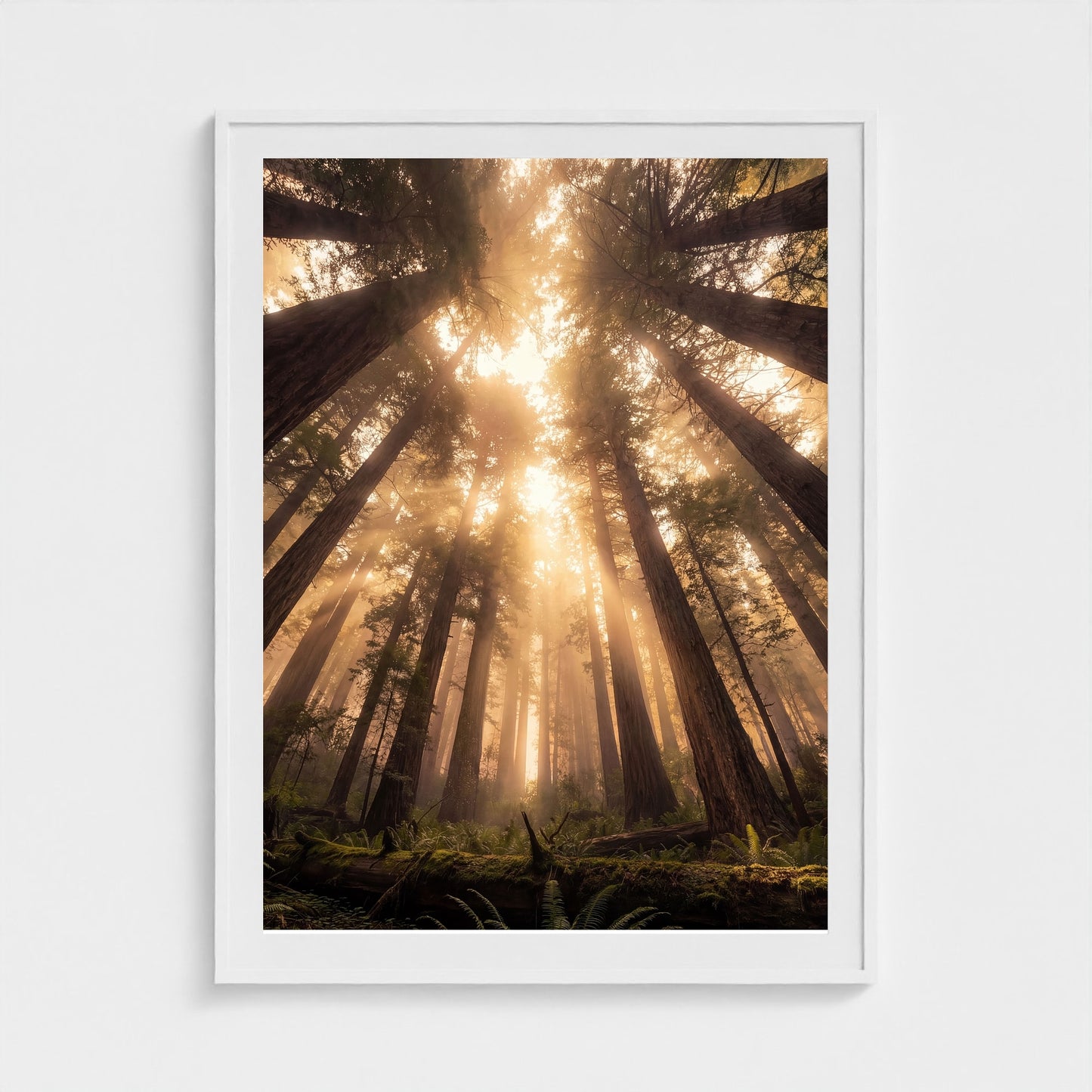 Redwood Cathedral framed print - redwood-cathedral-portrait-36x48-white