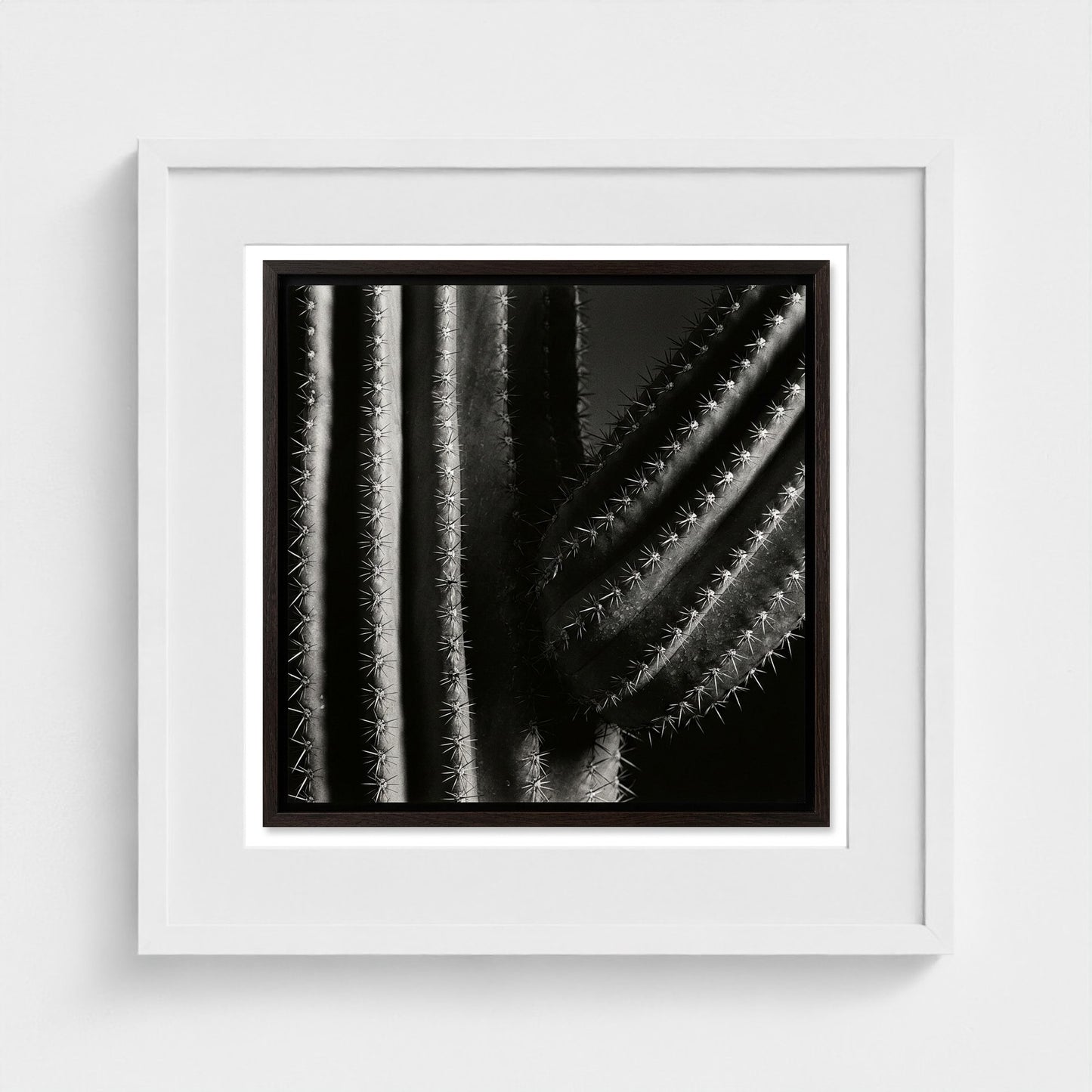 Saguaro — Sculpted Shadows 20x20 white frame