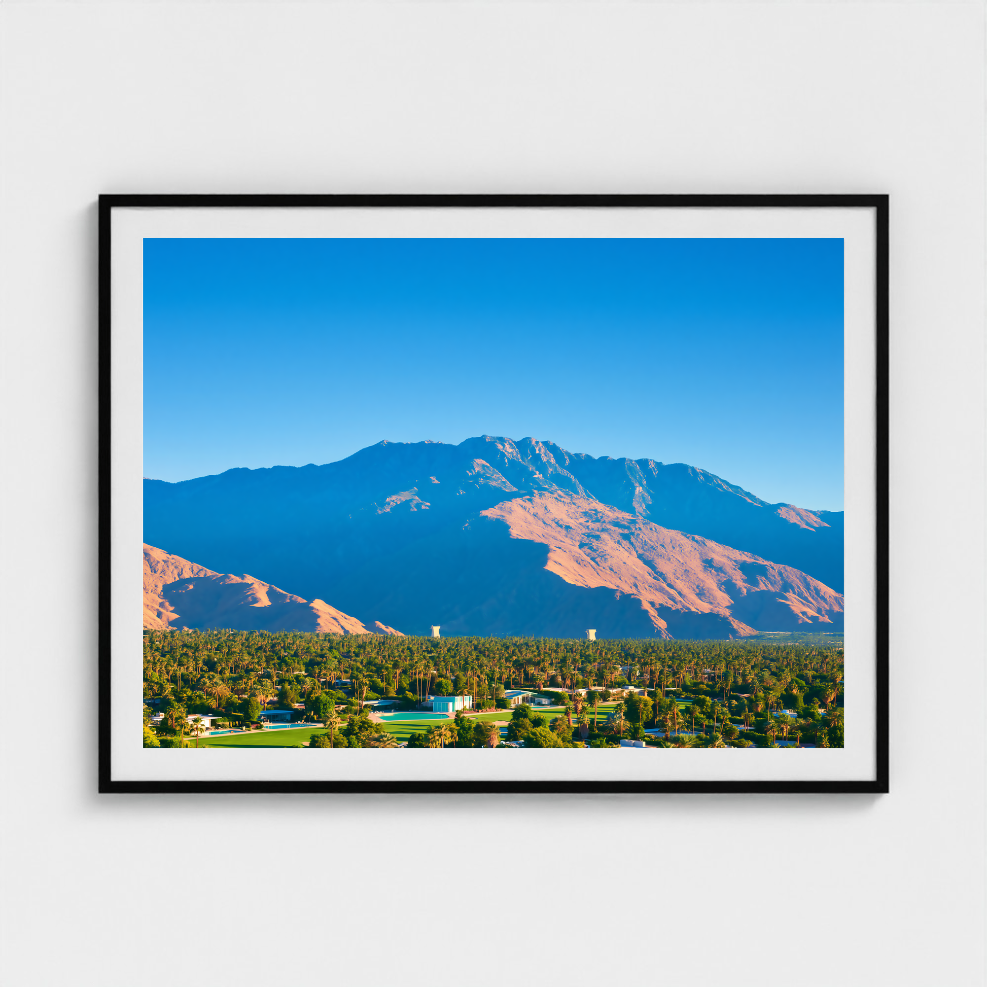 Desert Crown fine art photography print in a Black frame — Palm Springs crop-to-fill cover v1 a889d896e0