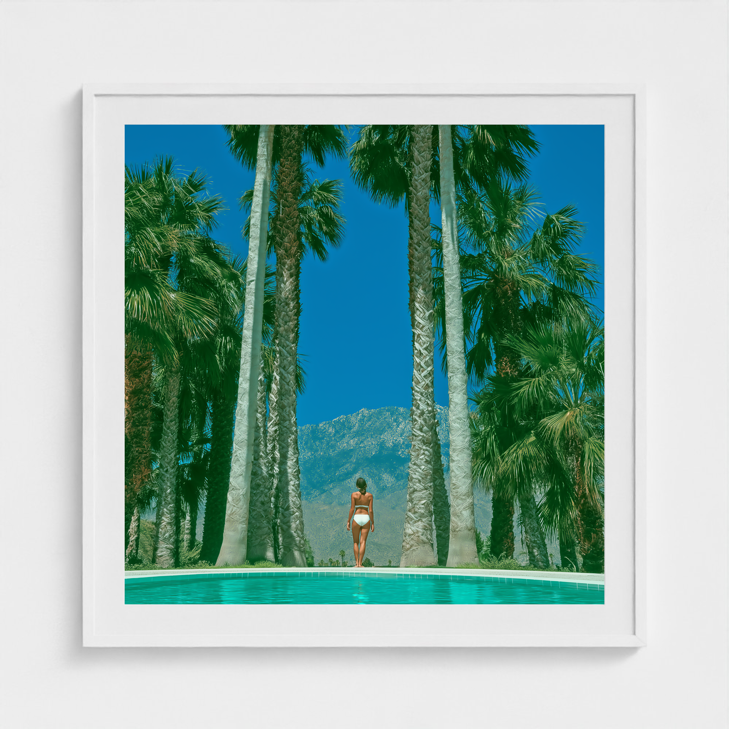 Between the Palms fine art photography print in a White frame — Palm Springs crop-to-fill cover v1 caecc1b88f