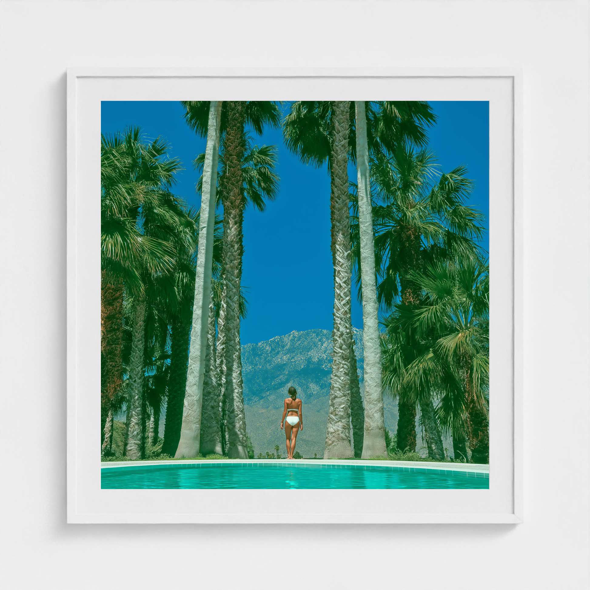 Between the Palms fine art photography print in a White frame — Palm Springs crop-to-fill cover v1 caecc1b88f