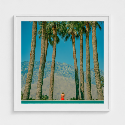 Red at the Palms fine art photography print in a White frame — Palm Springs crop-to-fill cover v1 7ee1079838