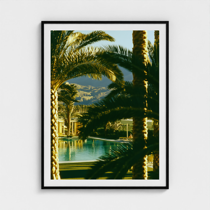 Palm Shadow fine art photography print in a Black frame — Palm Springs crop-to-fill cover v1 8bea0d5046