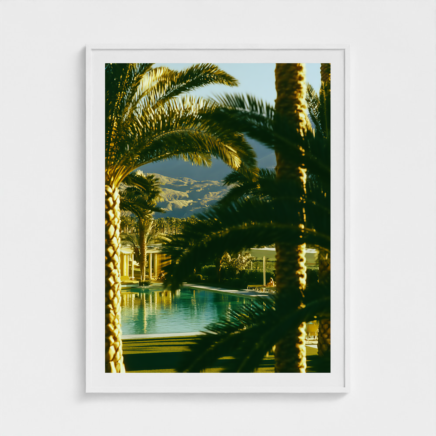 Palm Shadow fine art photography print in a White frame — Palm Springs crop-to-fill cover v1 8dd9508d5f
