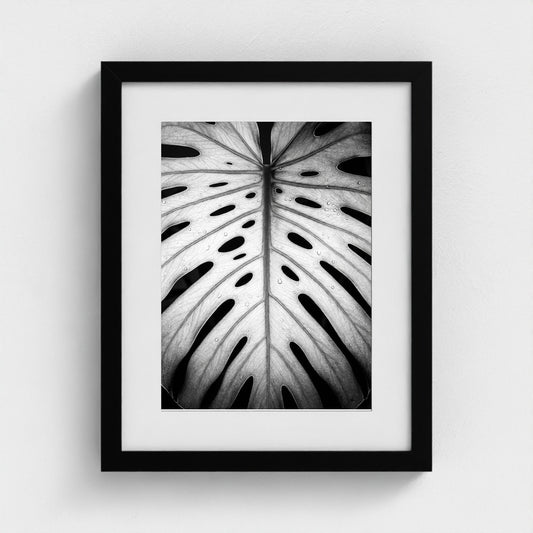 bw-monstera-light 11x14-black frame frame