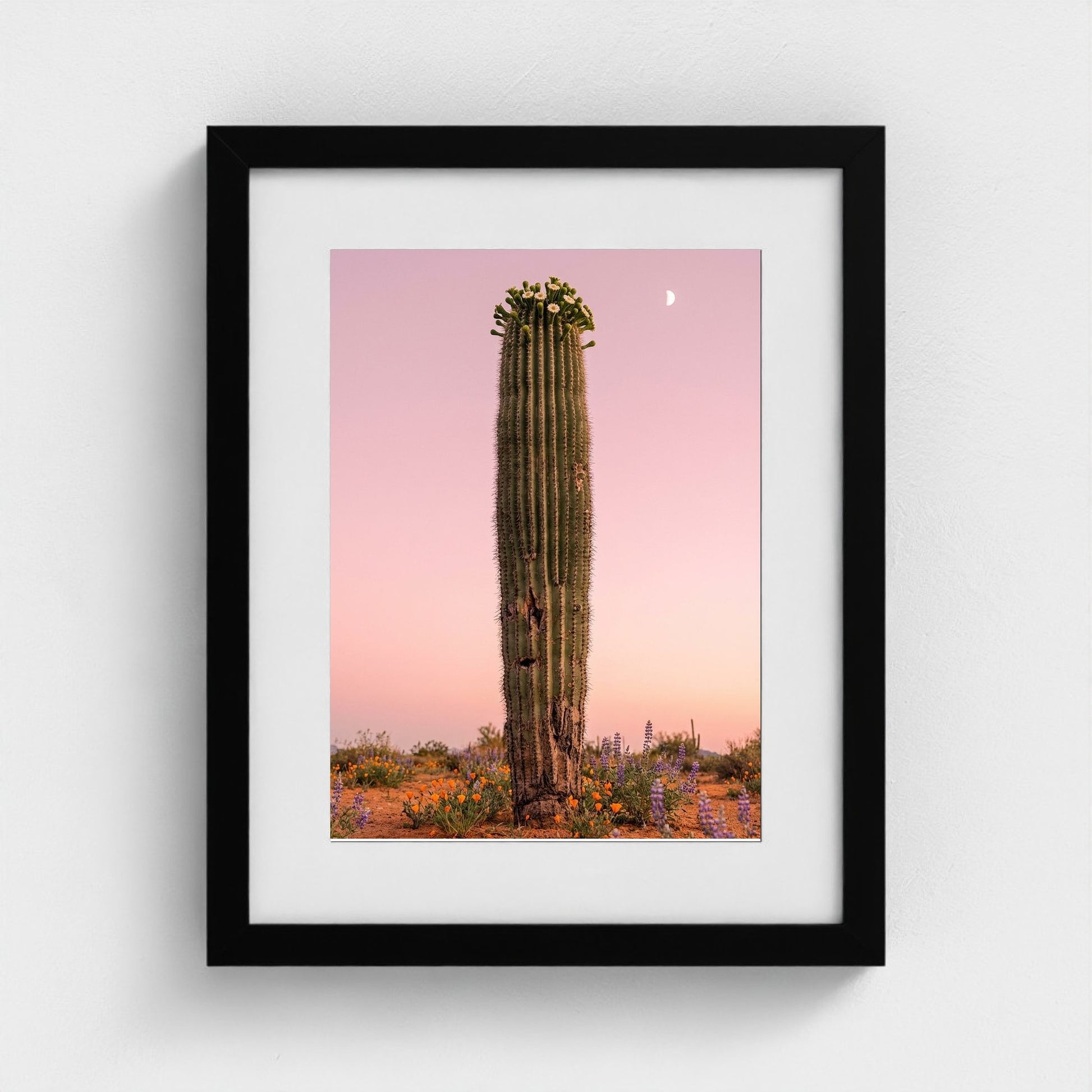 cactus-pink 11x14-black frame frame