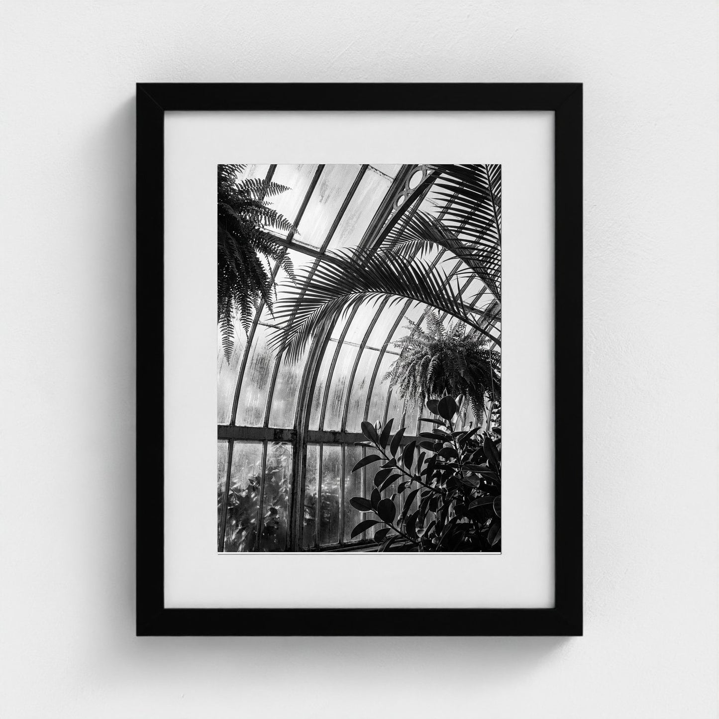 greenhouse 11x14-black frame frame