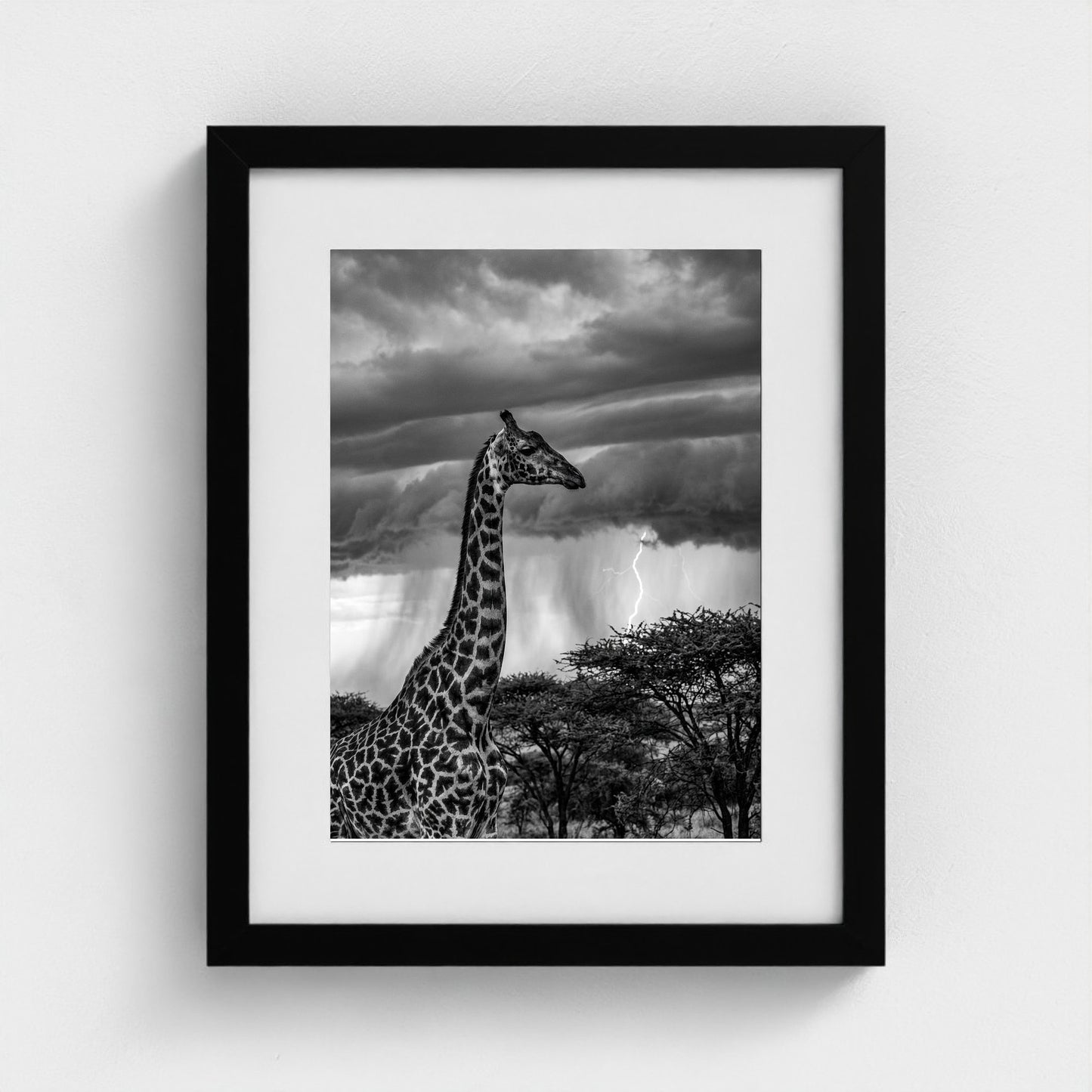 lone-giraffe 11x14-black frame frame