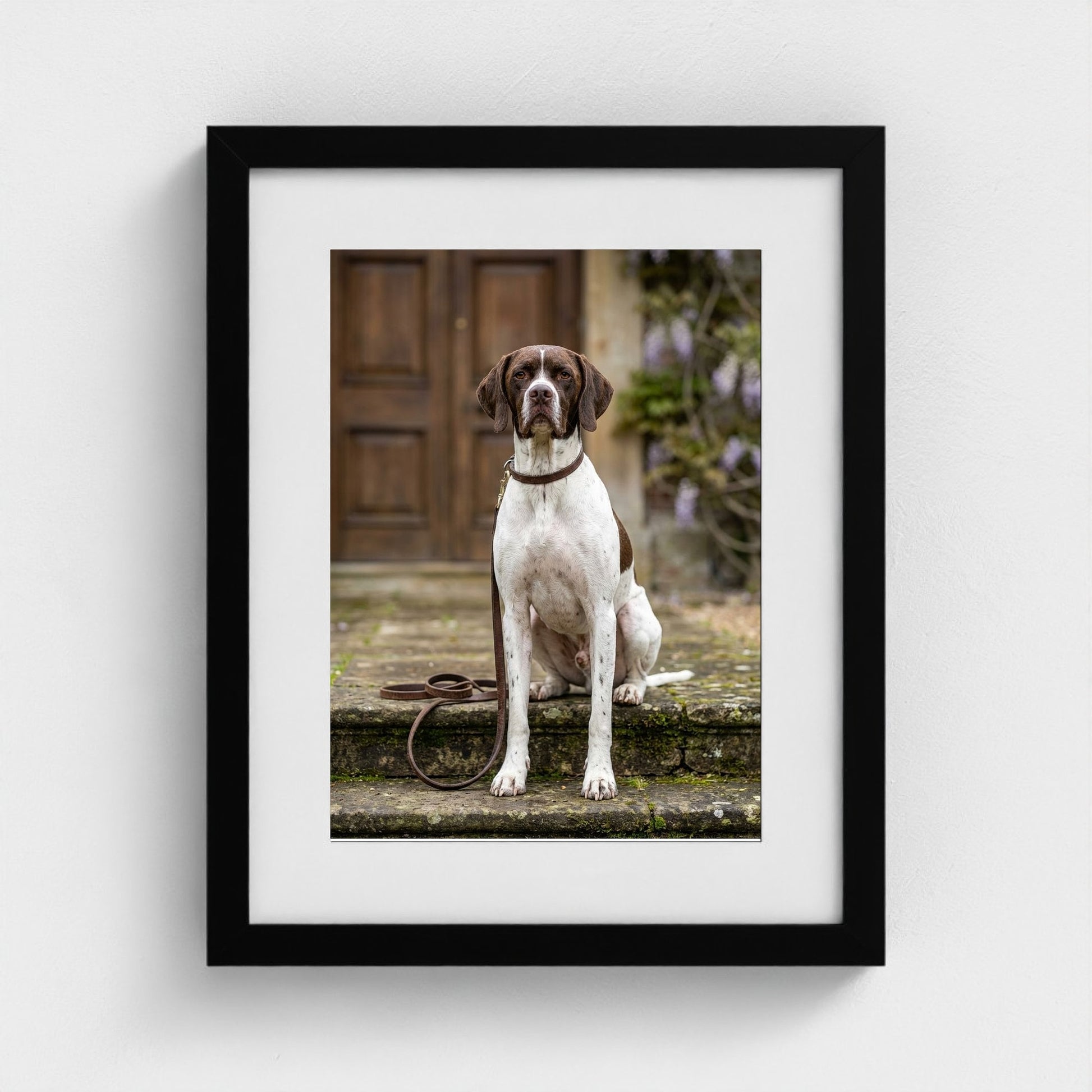 estate-hound 11x14-black frame frame