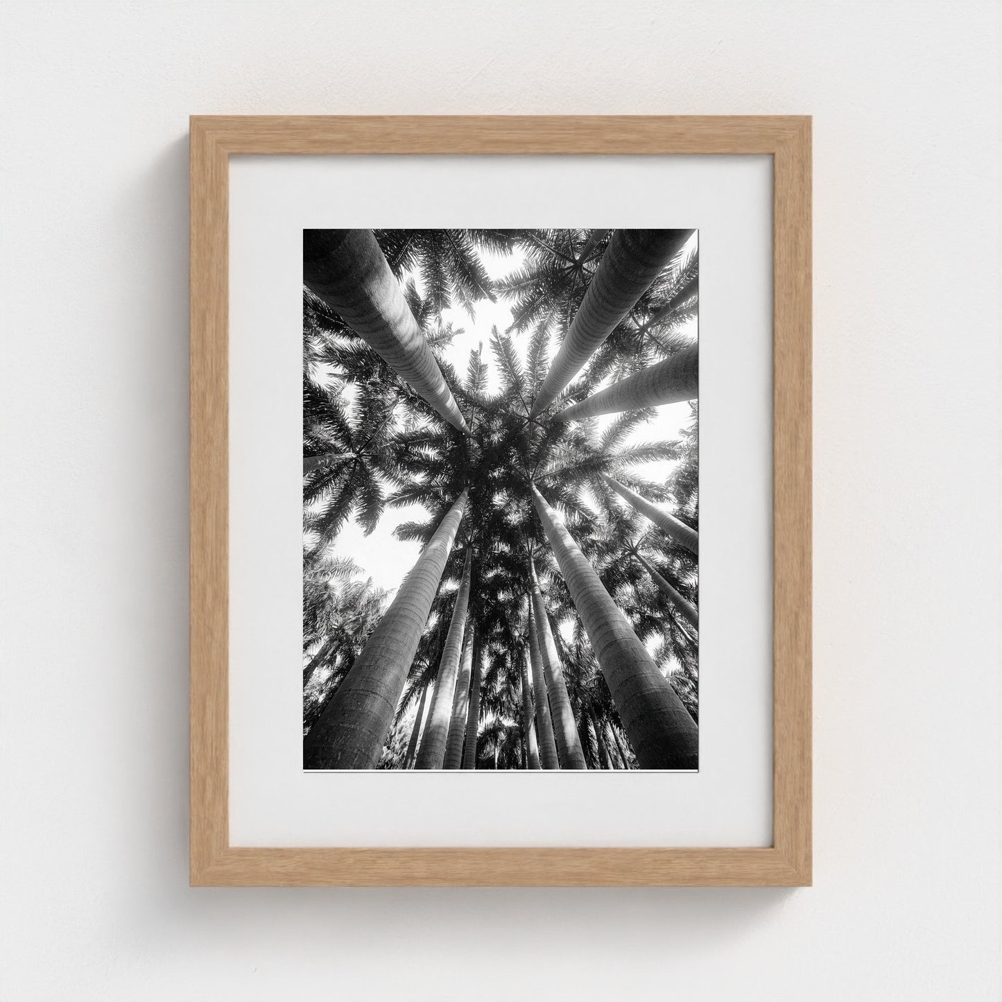 bw-palm-cathedral 11x14-natural frame frame