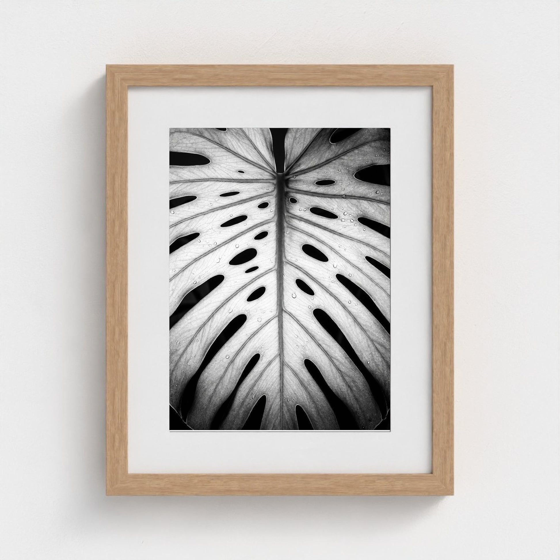 bw-monstera-light 11x14-natural frame frame