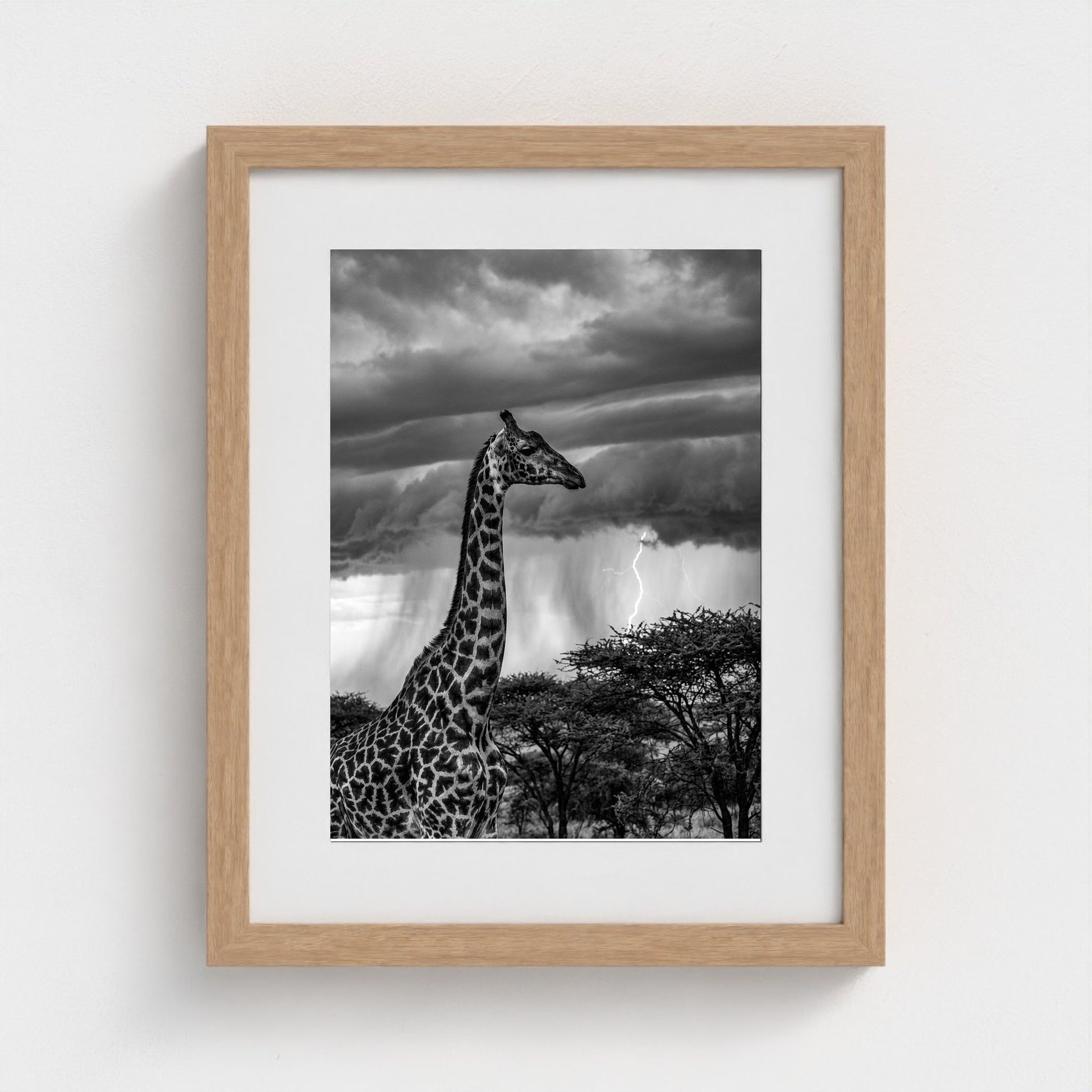 lone-giraffe 11x14-natural frame frame