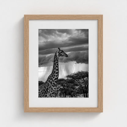 lone-giraffe 11x14-natural frame frame