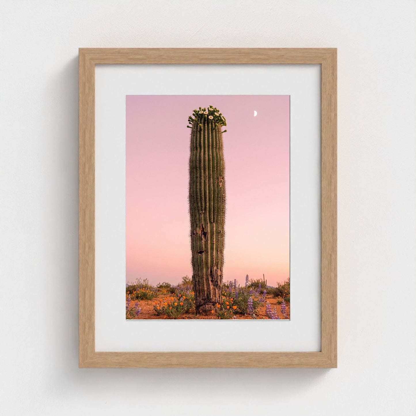 cactus-pink 11x14-natural frame frame