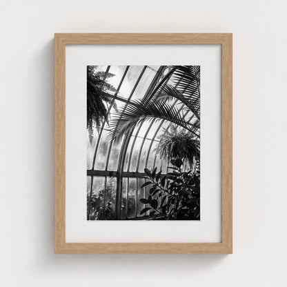 greenhouse 11x14-natural frame frame