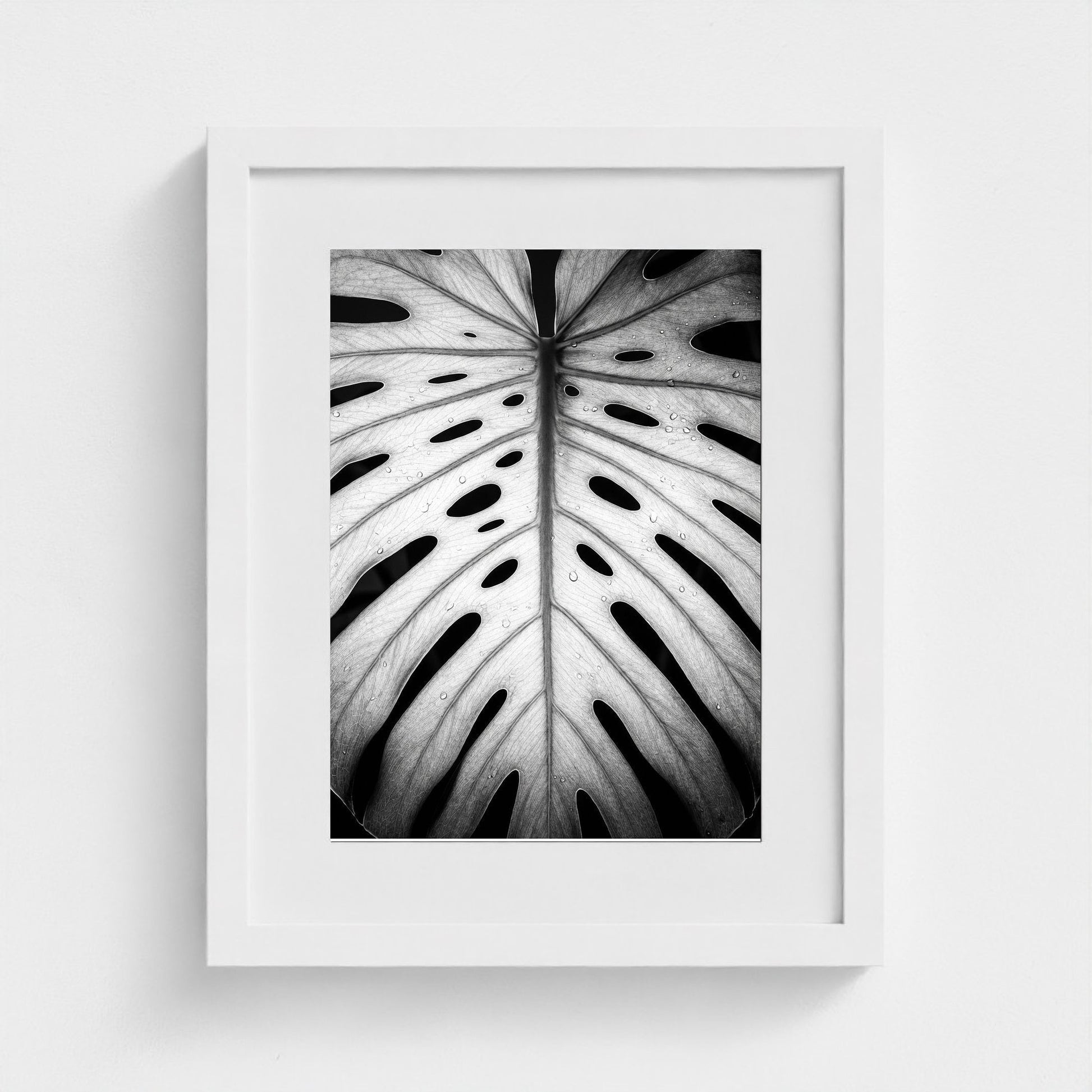 bw-monstera-light 11x14-white frame frame