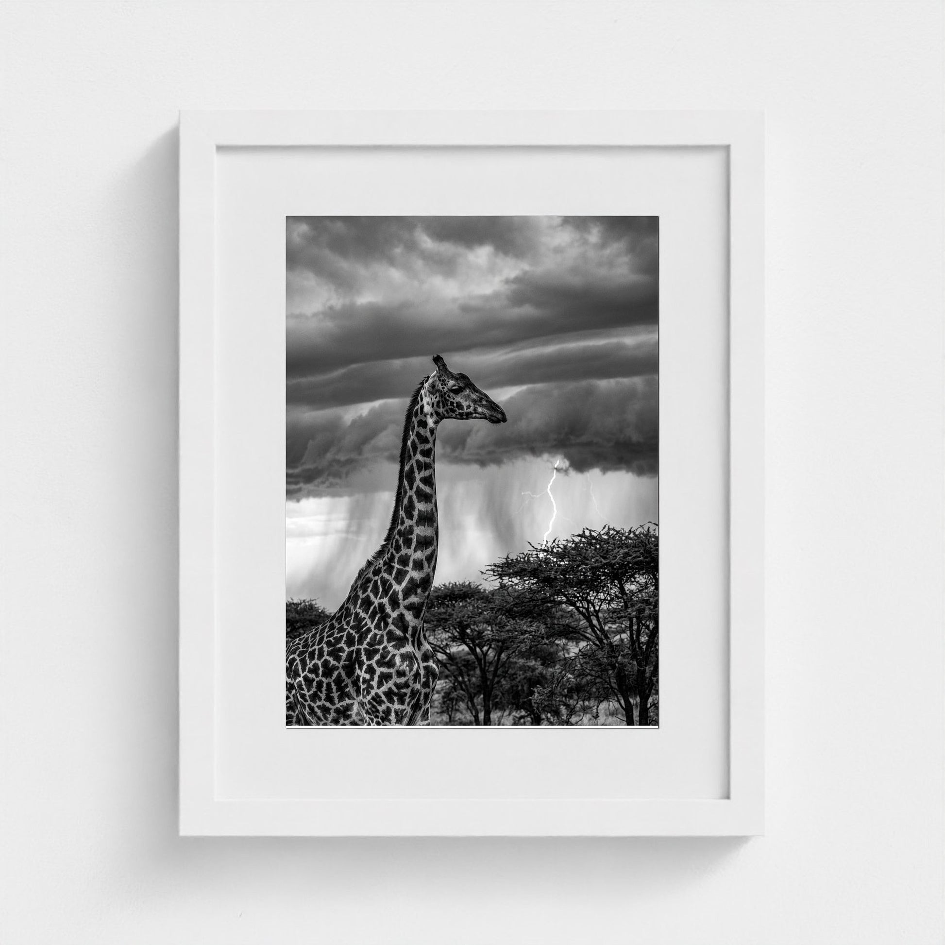 lone-giraffe 11x14-white frame frame