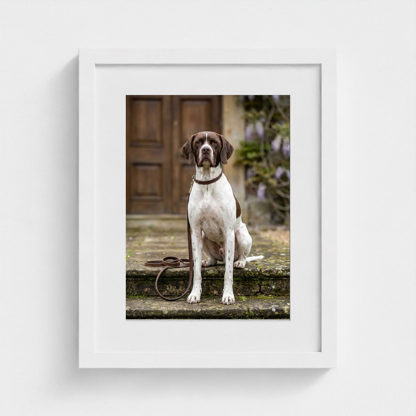 estate-hound 11x14-white frame frame