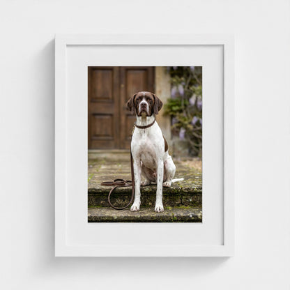 estate-hound 11x14-white frame frame