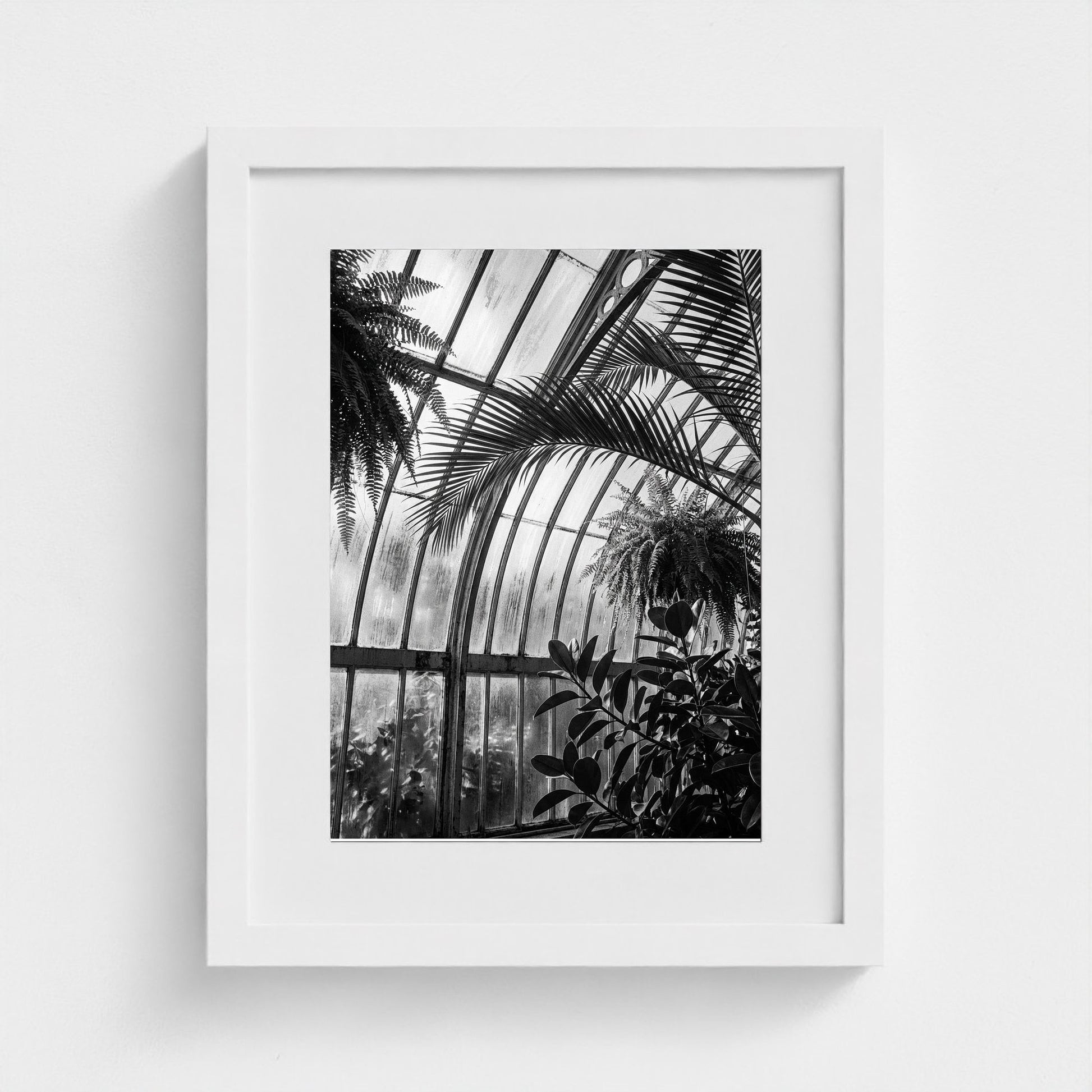 greenhouse 11x14-white frame frame