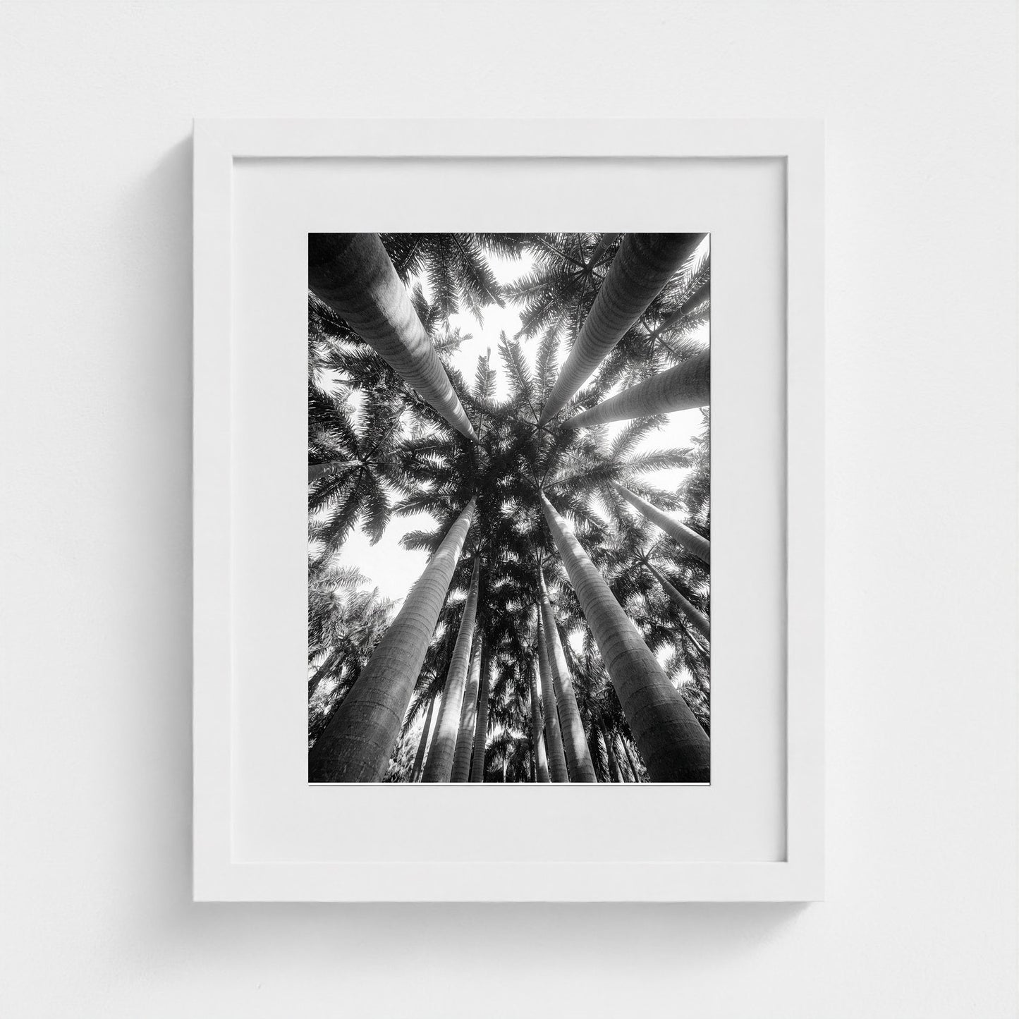 bw-palm-cathedral 11x14-white frame frame