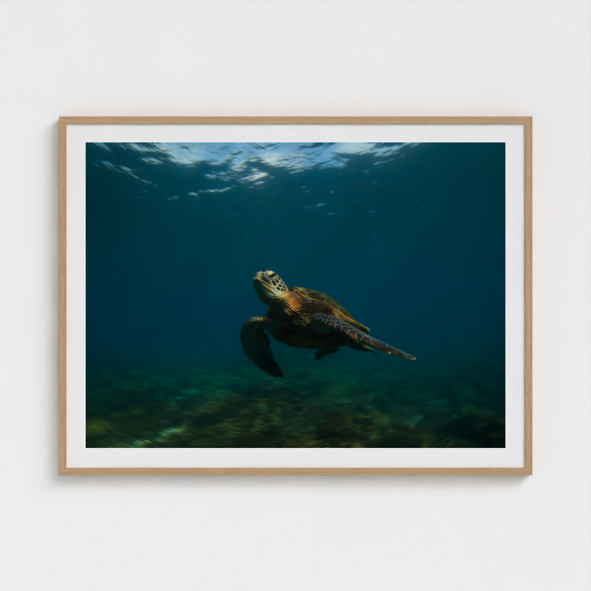 Ancient Current fine art photography print in a Natural frame — Lost Paradise crop-to-fill cover v2 97986c8c53