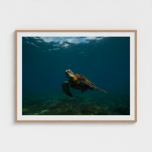 Ancient Current fine art photography print in a Natural frame — Lost Paradise crop-to-fill cover v2 97986c8c53