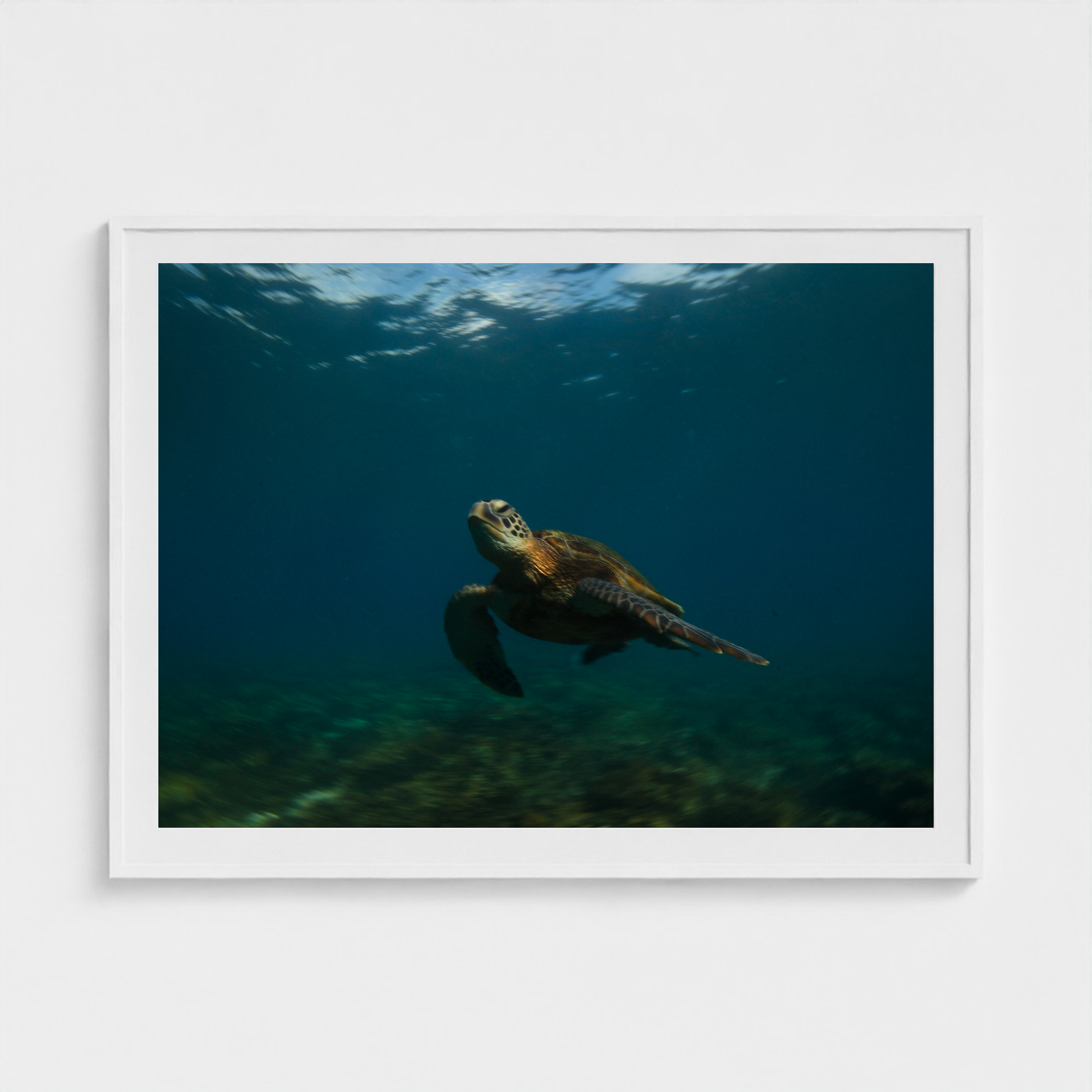 Ancient Current fine art photography print in a White frame — Lost Paradise crop-to-fill cover v2 c5b781f4cd