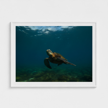 Ancient Current fine art photography print in a White frame — Lost Paradise crop-to-fill cover v2 c5b781f4cd