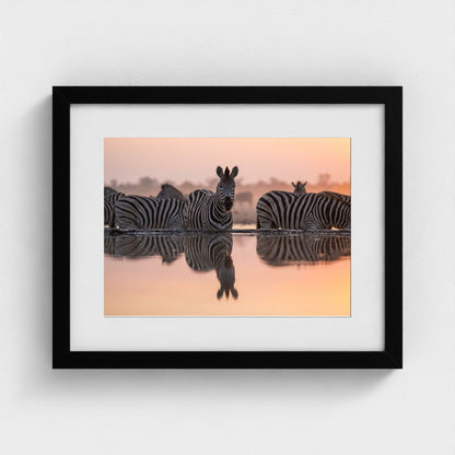 watering-hole 14x11-black frame frame