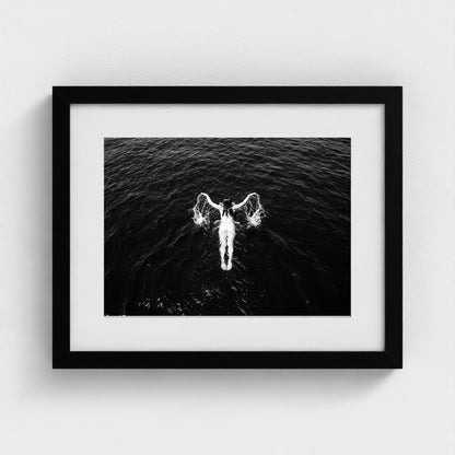 bw-open-water 14x11-black frame frame