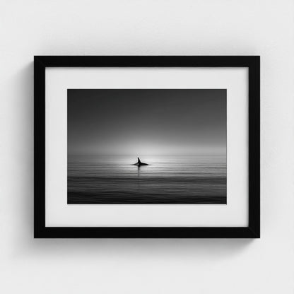 minimalist-negative-space-composition-lone-whale 14x11-black frame frame