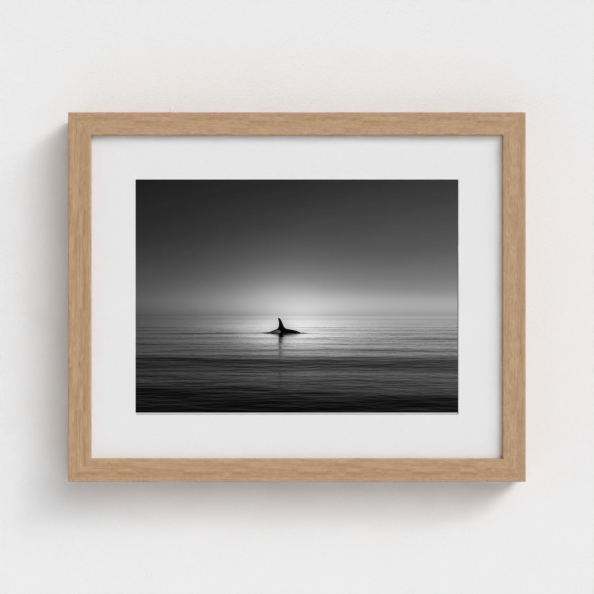 minimalist-negative-space-composition-lone-whale 14x11-natural frame frame