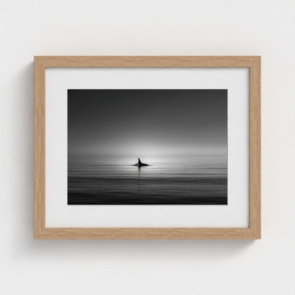 minimalist-negative-space-composition-lone-whale 14x11-natural frame frame