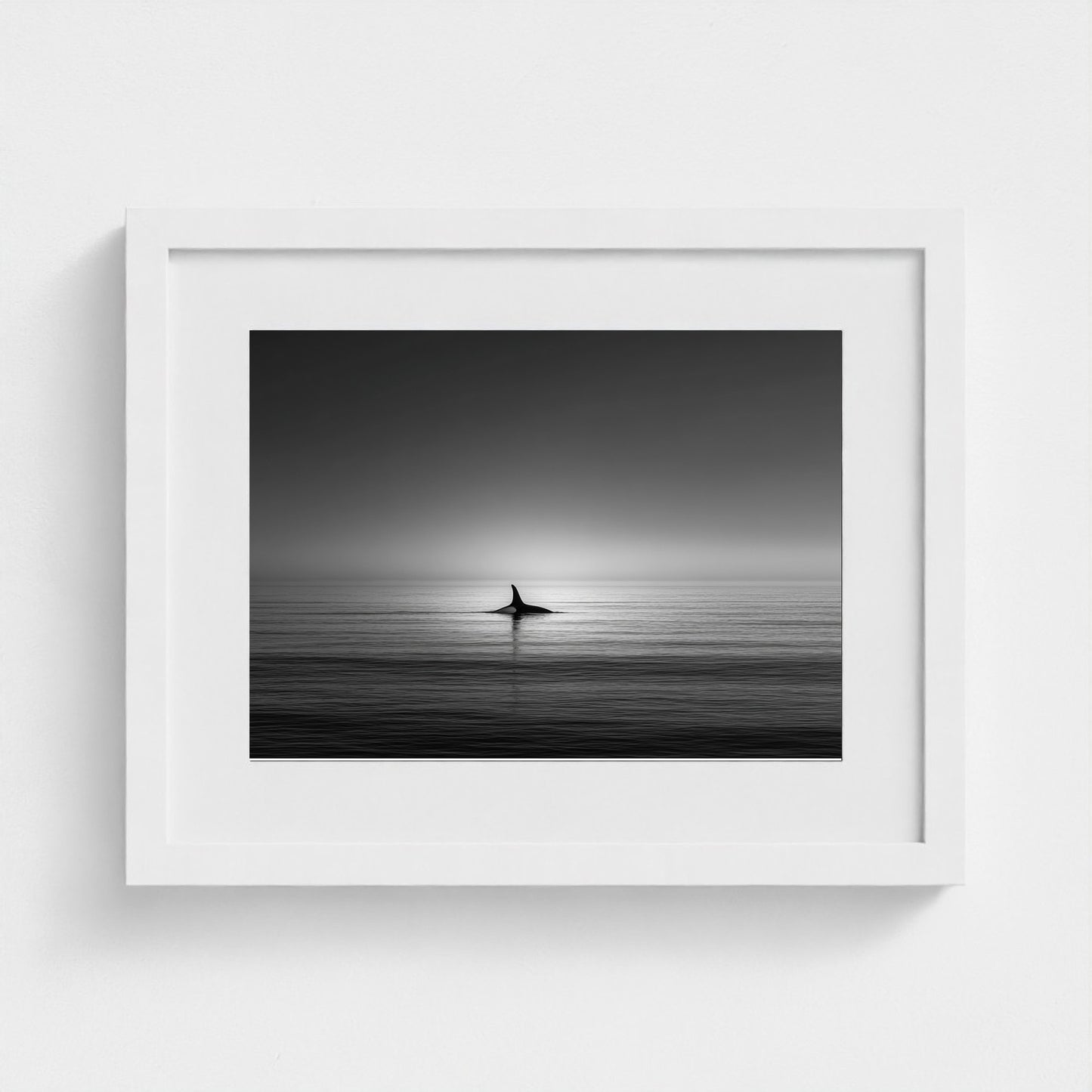 minimalist-negative-space-composition-lone-whale 14x11-white frame frame