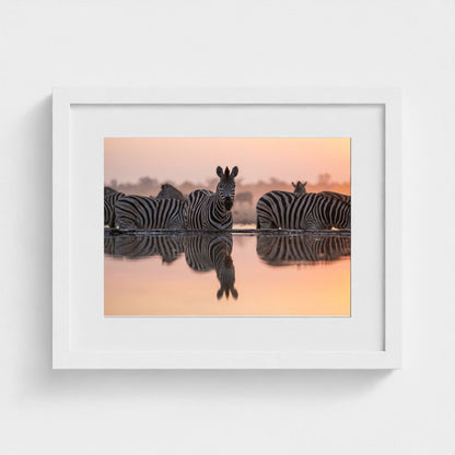 watering-hole 14x11-white frame frame