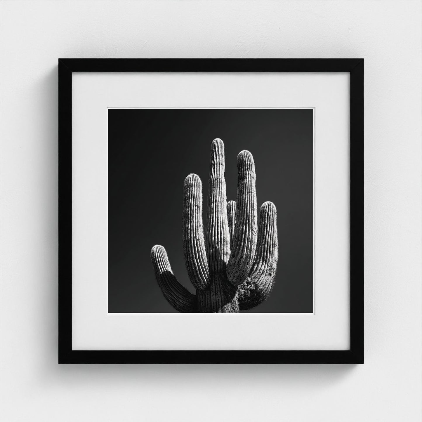 timeless-black-and-white-fine-art-desert-cactus 16x16-black frame frame