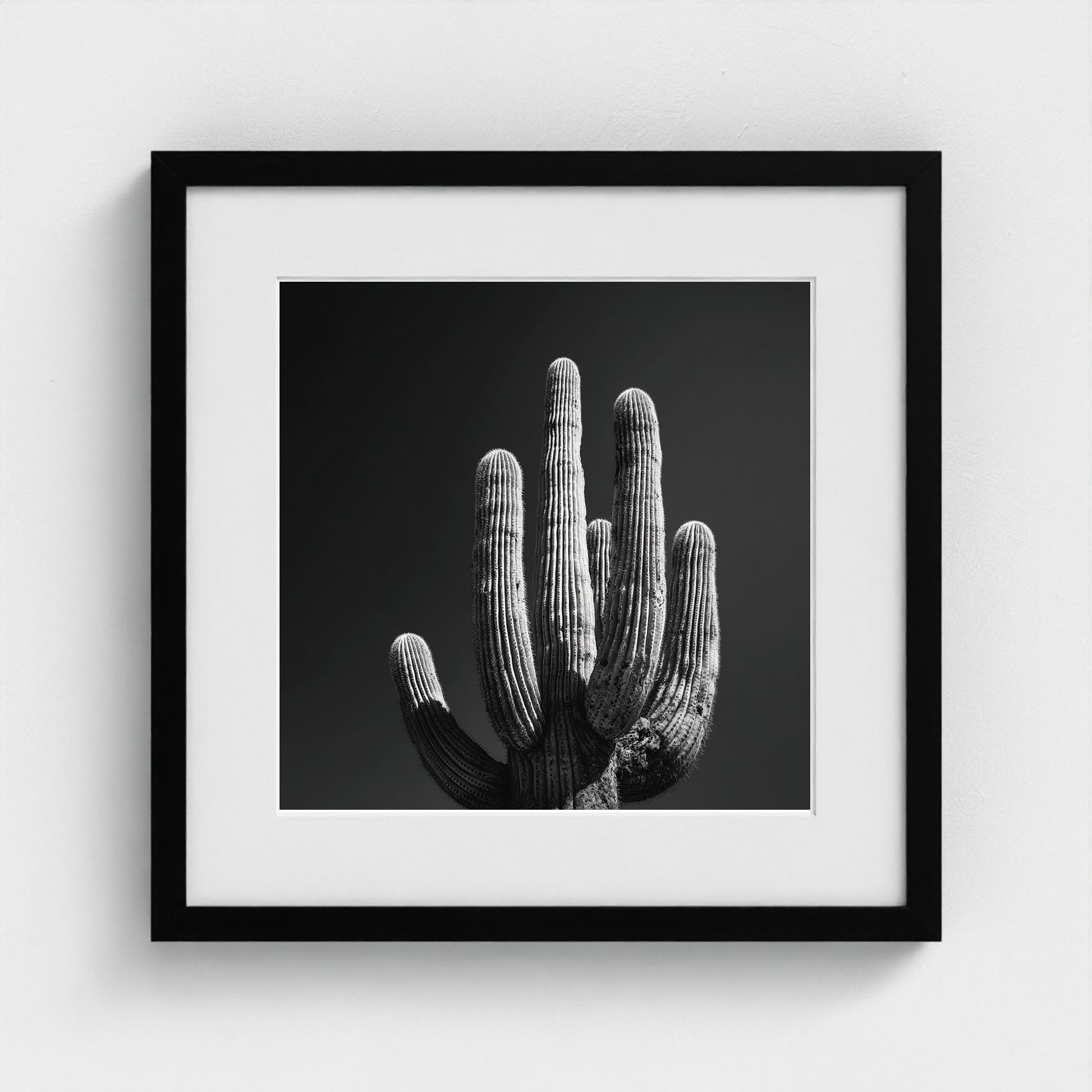 timeless-black-and-white-fine-art-desert-cactus 16x16-black frame frame