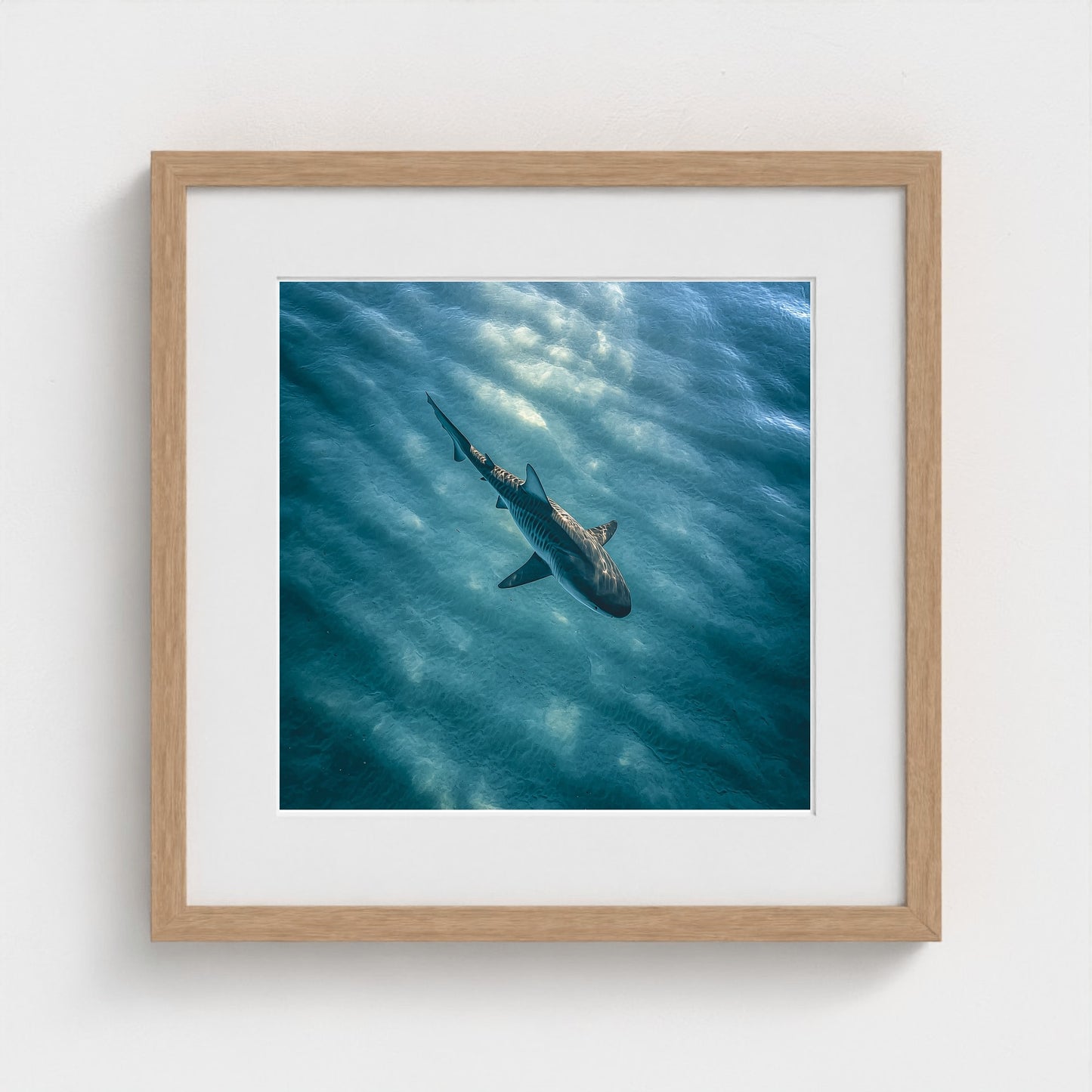 httpss.mj.runchkwm-9oem-shark-swimming-alone-in 16x16-natural frame frame