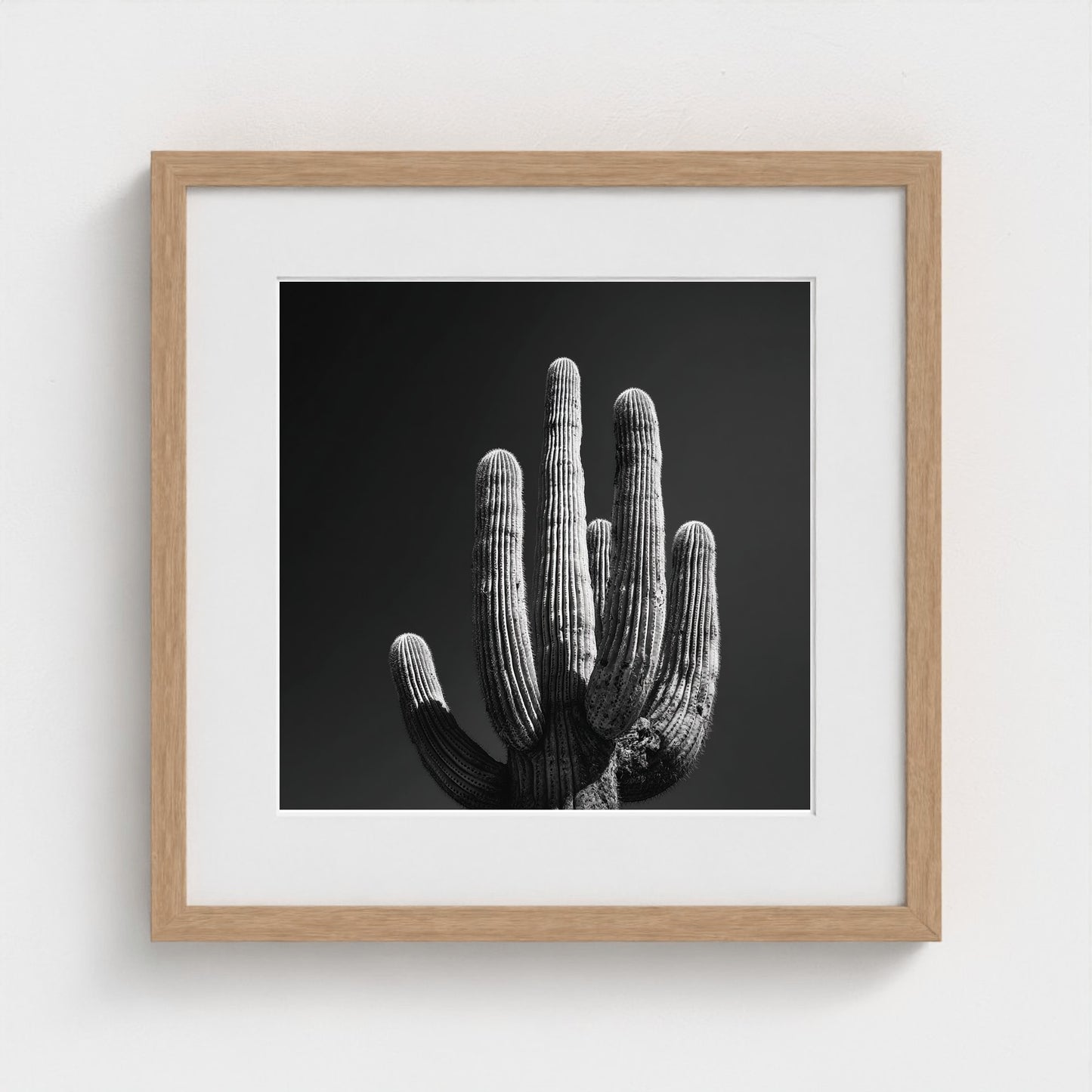 timeless-black-and-white-fine-art-desert-cactus 16x16-natural frame frame
